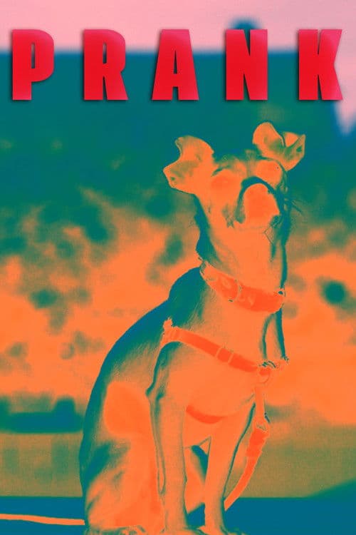 Prank